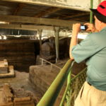 Joya de Ceren Mayan Site, Tour Ruta Maya